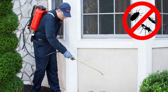 Tire Bit İlaçlama böcek ilaçlama ve haşere kontrolü — ilaclama-tr.com
